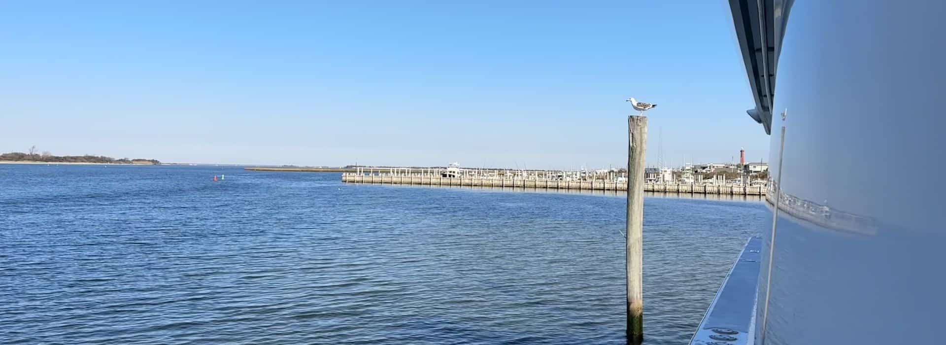 View from the side of a yacht showing a bird sitting on a pole in the water and a marina in the background