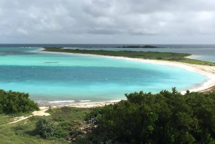 Mix of light and dark blue water next to beach surrounded by green grass and green trees